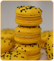 macaron 2 copiar