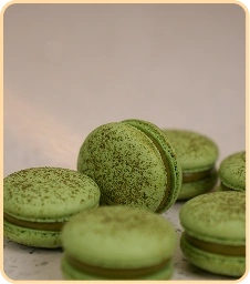macaron 8 copiar