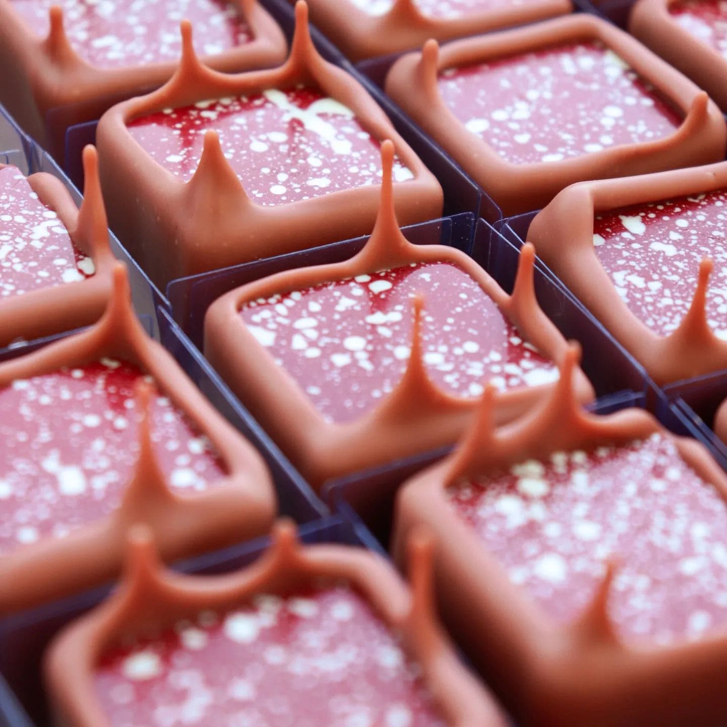 image - 2023-08-30T102017.717