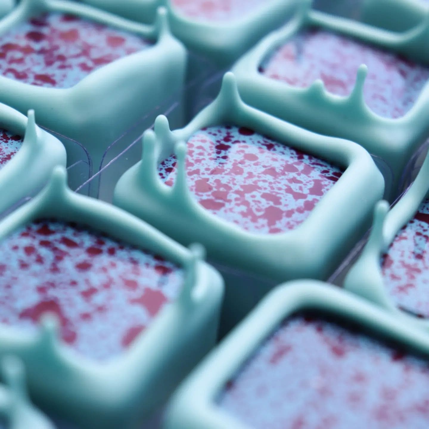 image - 2023-08-30T102030.088