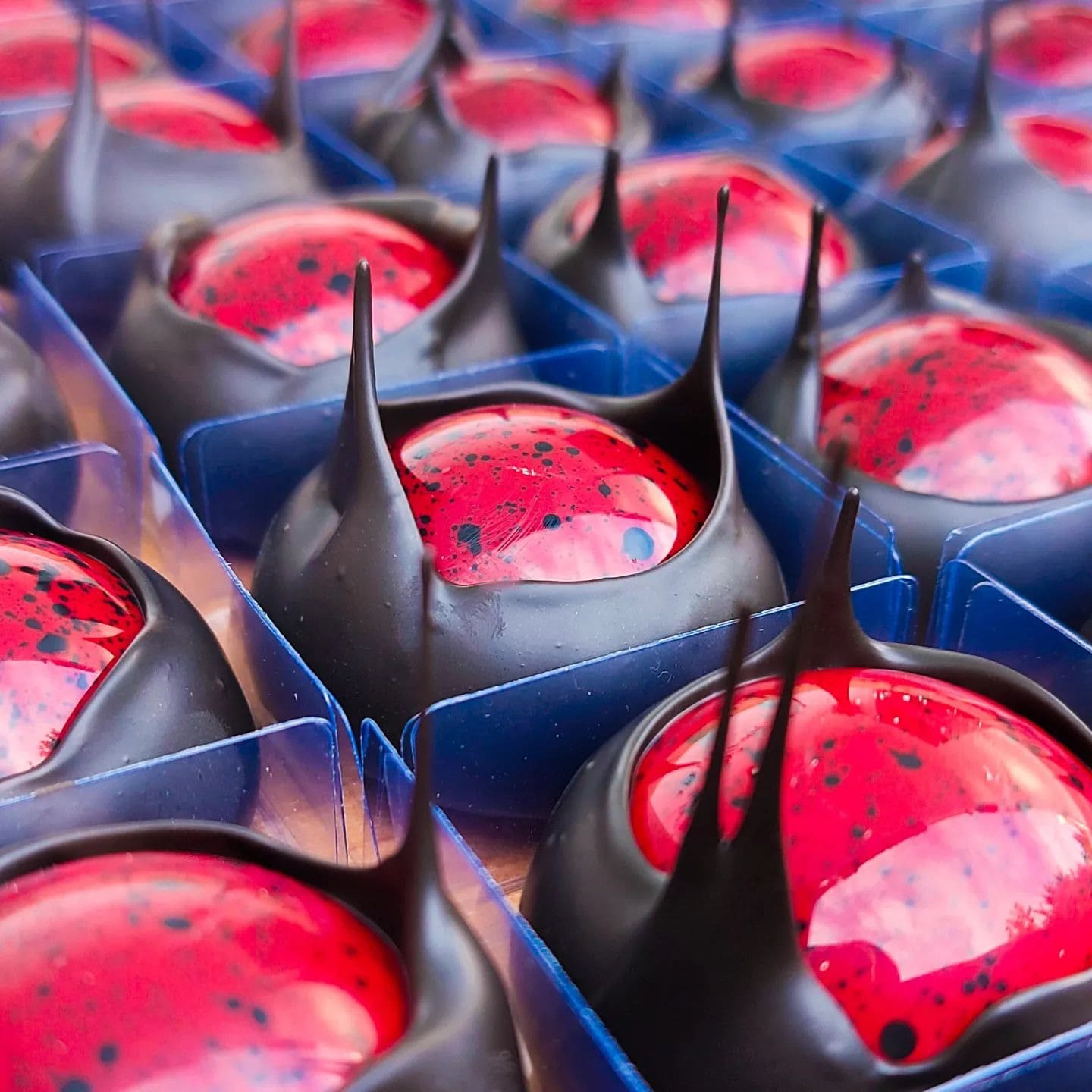 image - 2023-08-30T102055.722